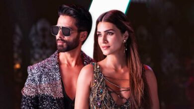 Teri Baaton Mein Aisa Uljha Jiya Soars Past ₹50 Crore Milestone