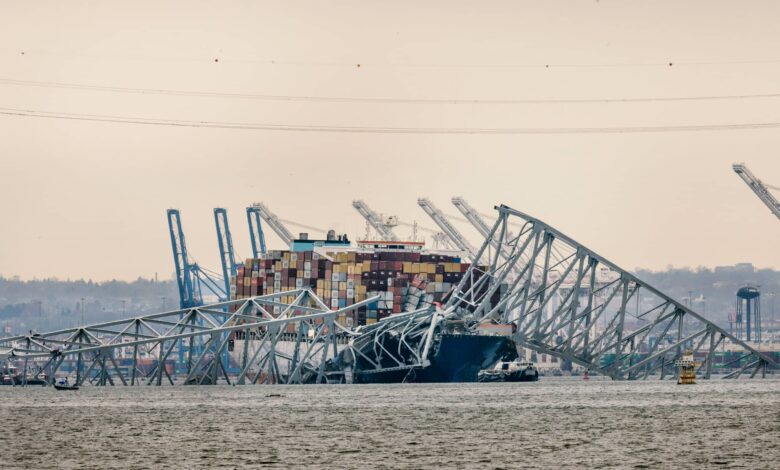 Baltimore Bridge Collapse: Cleanup and Recovery Efforts Underway