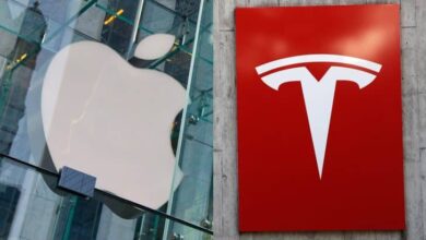 China turns risk for Apple, Tesla as local brands surge