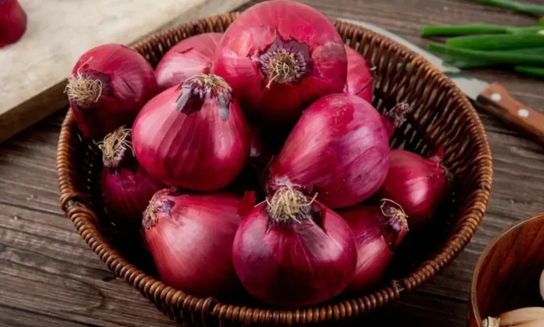 India resumes Onion Exports to Bangladesh after 3-Month Hiatus