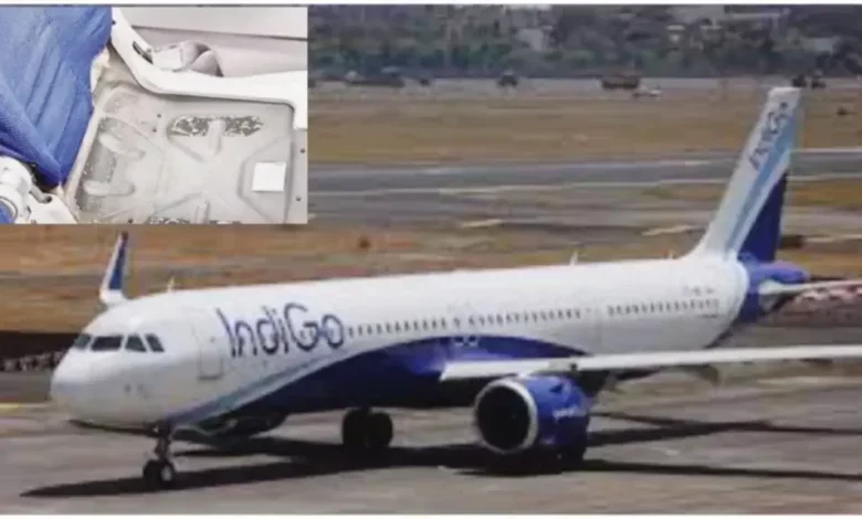 Missing cushion mid-flight leaves Indigo passenger puzzled