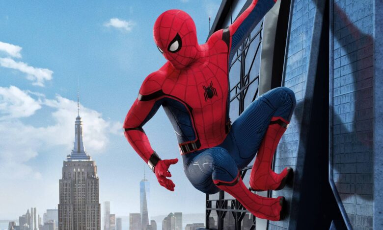 Spider-Man: The Great Web - Untangling the Multiverse Mayhem