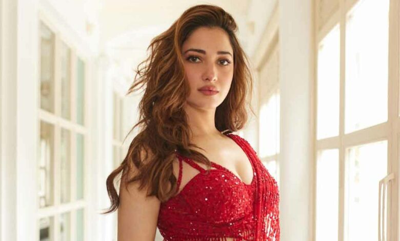 Tamannaah Bhatia's Bollywood journey and upcoming projects (1)