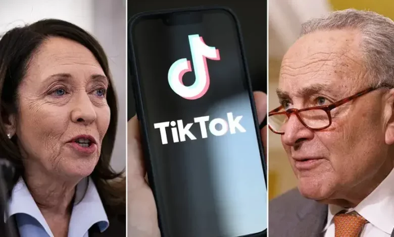 Schumer Optimistic About Senate Progress on TikTok Security Bill