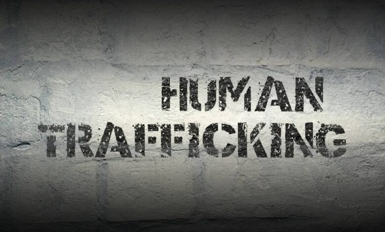 Human Trafficking Statistics in India 2013: Unraveling a Tragic Reality