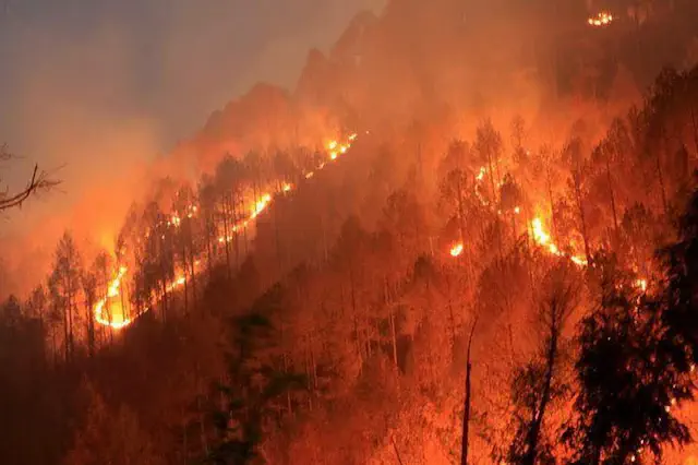 Uttarakhand forest fires claim five lives, situation remains dire
