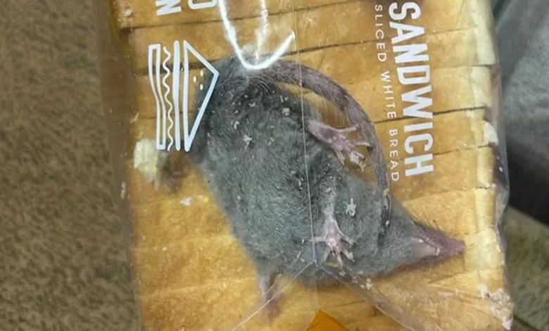 Bread Recall in Japan: Rat Body Parts Found in Sliced Loaves