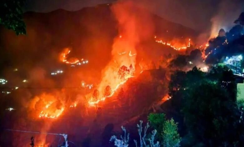 Supreme Court Questions Uttarakhand Government's Response to Forest Fires