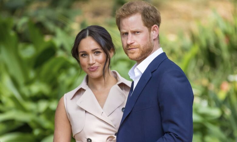 Royals on the outs: Harry and Meghan's waning Influence in the Palacea