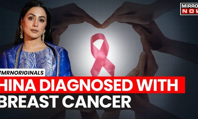 Hina Khan Reveals Stage 3 Breast Cancer Diagnosis, Raises Awareness