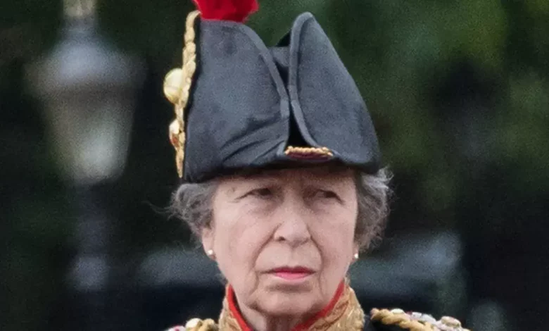 Princess Anne Hospitalized After Accident at Gatscombe Park Estate