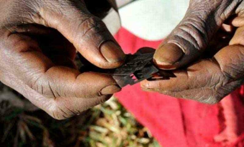 UN Warns of Cross-Border FGM Undermining Global Fight Against Practice