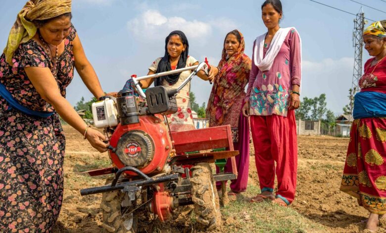 Mapping Women Employment Statistics in India: From Agriculture to Tech