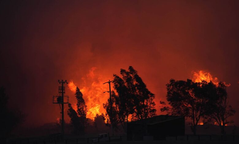 Forest Fire Rages in Izmir, Turkey: People Evacuated