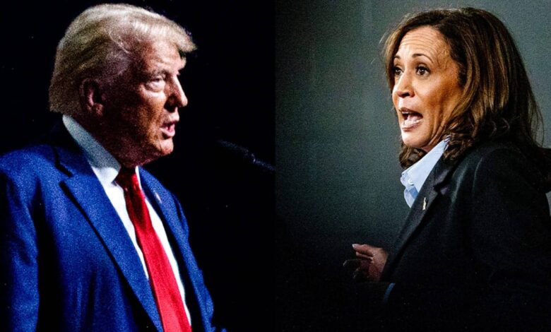 Trump shares 'nail salon' conspiracy theory against Kamala Harris.