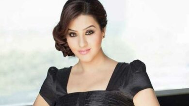 Shilpa Shinde Alleges Sexual Assault by Hindi Filmmaker
