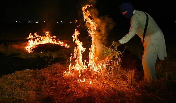 16 farmers arrested in Haryana for burning crop stubble