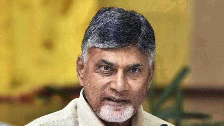 Andhra CM's solution to ageing population: 'Have more kids'