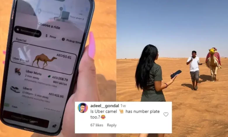 Stranded woman books camel ride via Uber in Dubai desert