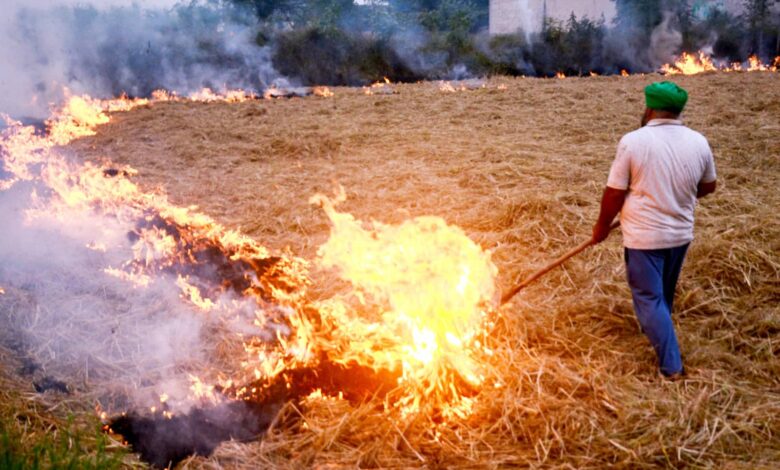 Haryana takes action against farmers for stubble burning