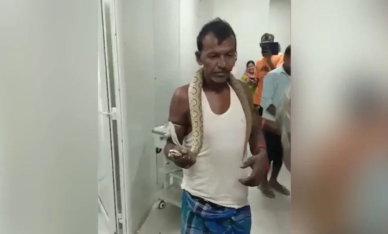 Bihar man walks into hospital with snake bite, snake still in hand