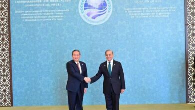 SCO calls for countering protectionism, Western sanctions