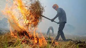 Centre doubles fines for stubble burning amid pollution crisis