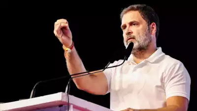 BJP: Rahul Gandhi and OCCRP are 'two bodies, one soul