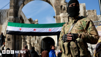 Syria military strikes pro-Assad forces in Tartus after ambush