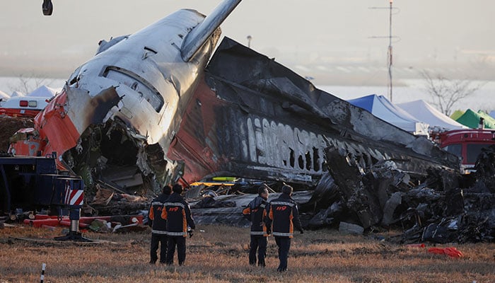 Experts: Runway design contributed to South Korean air disaster