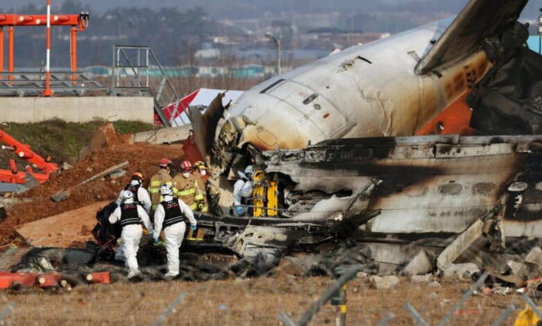 Jeju Air flight 2216 crash: A cautionary tale of bird strikes