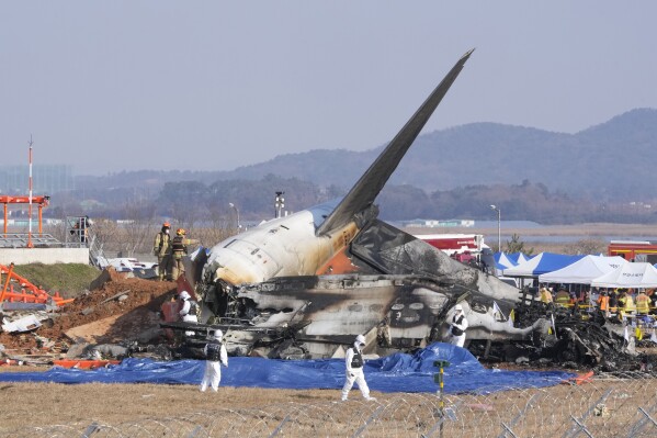 Fatal plane crash in South Korea claims 176 lives