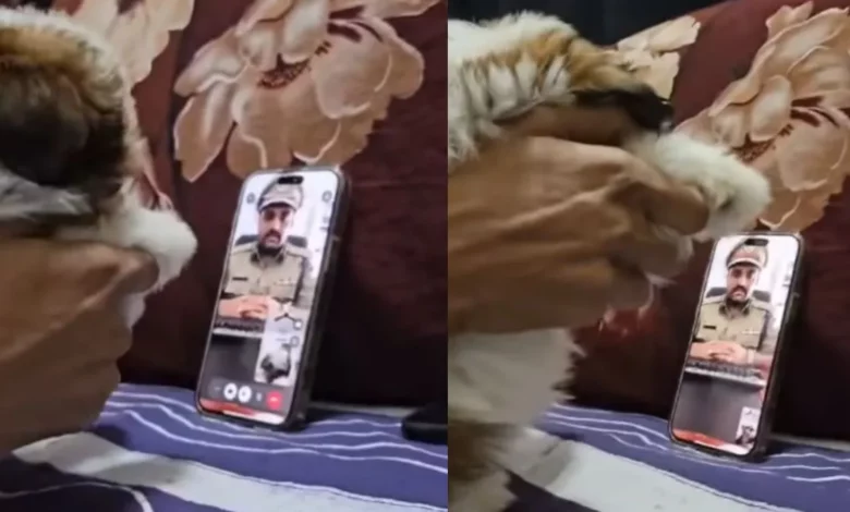 Mumbai man outsmarts scammer with puppy prank