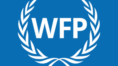 UN Food Programme to cut staff by 25% amid funding shortfall