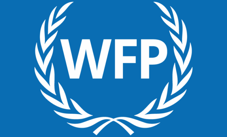 UN Food Programme to cut staff by 25% amid funding shortfall