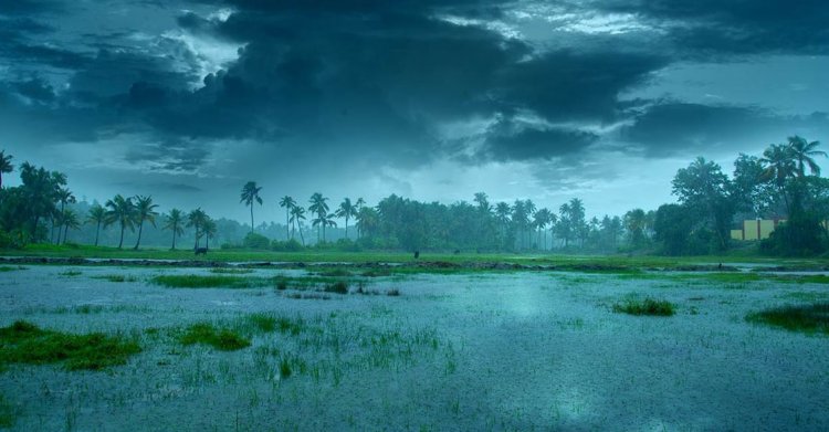 Southwest monsoon arrives early in Kerala, boosting harvest