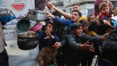 Israel strikes Gaza: 32 Palestinians killed at aid sites