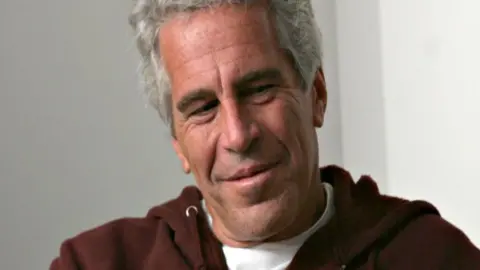 Key insights from the Epstein files